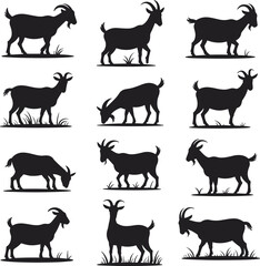 Goat silhouettes, grazing, standing, vector, black, farm animal, nature, livestock, pasture, rural, grass, poses