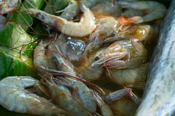 Fresh shrimp displayed on banana leaves at a traditional market. Often used in Asian seafood cuisine such as grilling, frying, or steaming.