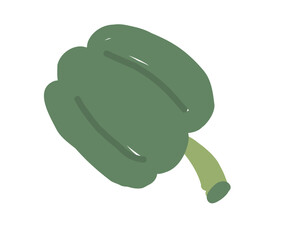 Green bell pepper isolated on white background. Vegetable illustration. Organic food and healthy nutrition concept