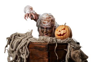 Mummy and Pumpkin on a Rustic Wooden Chest