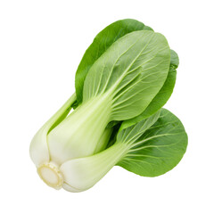 透明背景に配置された新鮮な緑色の白菜のクローズアップ写真