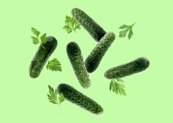 Fresh cucumbers and parsley falling against light green background