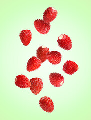 Fresh ripe wild strawberries falling against light green background