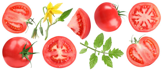 Fresh ripe tomatoes, blossoms and green leaves isolated on white, set