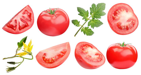 Fresh ripe tomatoes, blossoms and green leaves isolated on white, set