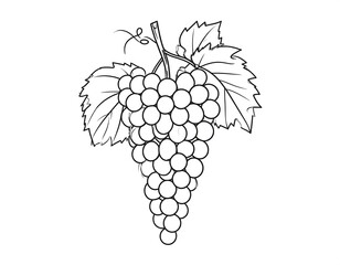 Detailed grapevine illustration featuring grapes and leaves in monochrome style