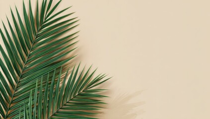 Two palm fronds on a beige background