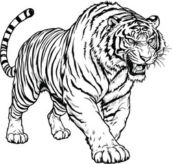 Fierce Tiger Vector Illustration – Black and White Striped Wild Cat in Dynamic Pose with Open Mouth and Muscular Detail