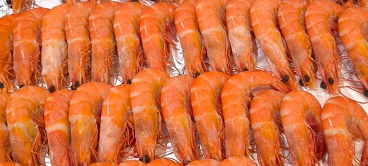 Orange boiled shrimps are arranged in rows.