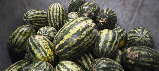 THe Green Watermelon Natural Fruit