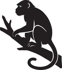 Fototapeta premium Hanuman is sitting and hanging on a branch of a wild animal tree. হনুমান গাছের ডালে বসে আছে