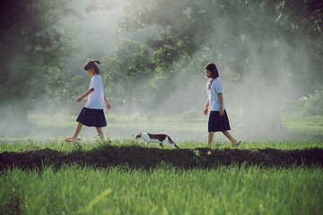 A family of sisters walk together on a green lawn in a rice field during a fun outdoor vacation during summer. Rural Isan, Thailand.