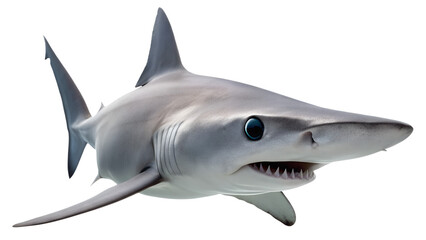 Fototapeta premium A goblin shark with its eerie protruding jaws, isolated on a transparent background