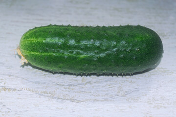 Ripe green cucumber isolate on a white background.