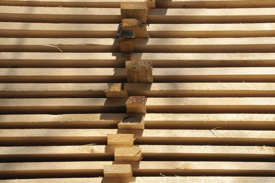 Stacked boards in a lumber mill