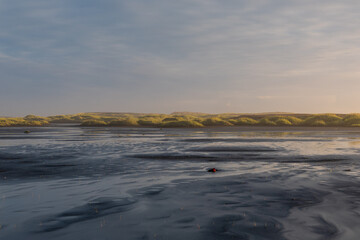 Beautiful sunset light on the mud flat.
