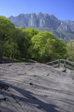 3000 year old rock carvings from Luine, Darfo Boario Terme, Province of Brescia, Italy
