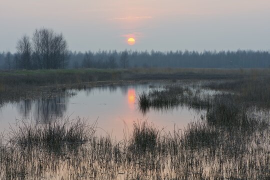 Sunset in the re-waterlogging area, Haren, Emsland, Lower Saxony, Germany