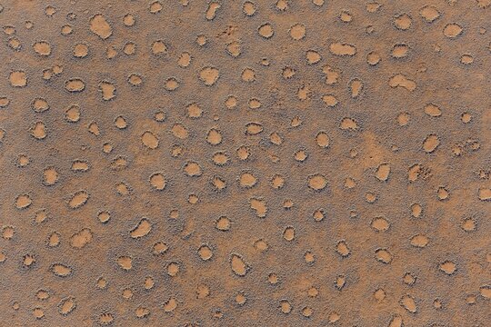 Aerial view from a hot-air balloon at the edge of the Namib Desert, Fairy Circles, circular patches without any vegetation which according to recent scientific studies are caused by termites, NamibRand Nature Reserve, Namibia