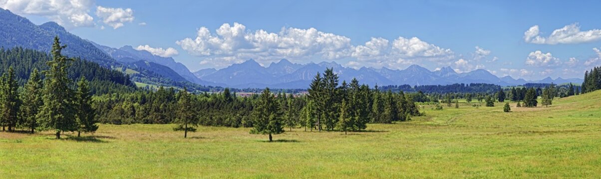 Nature biotope with lush meadows and Ammergau Alps, foothills of the Alps, Unterreithen, Bavaria, Germany