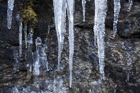 Winter, icicles, Oberallg&auml;u, Allg&auml;u, Bavaria, Germany