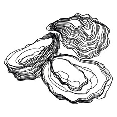 Oyster shells, continuous one line hand drawn. Fresh oysters isolated on white background, linear sketch. Clipart for logo, menu.