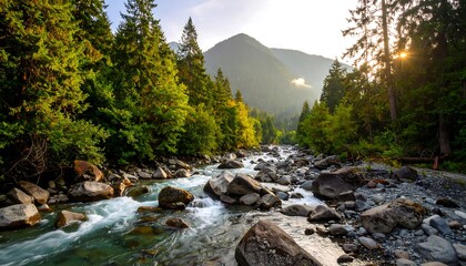 Mountain stream flowing through a lush forest at sunset