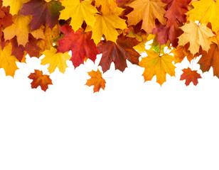 Horizontal Border of Falling Autumn Leaves, Top View, isolated on transparent background