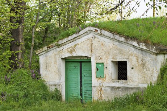 Wine cellar, Poysbrunn, Weinviertel, Lower Austria, Austria, Europe