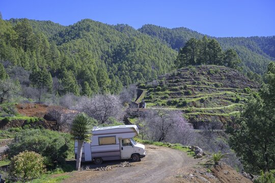 Old camping bus next to a dragon tree, Puntagorda, La Palma, Spain