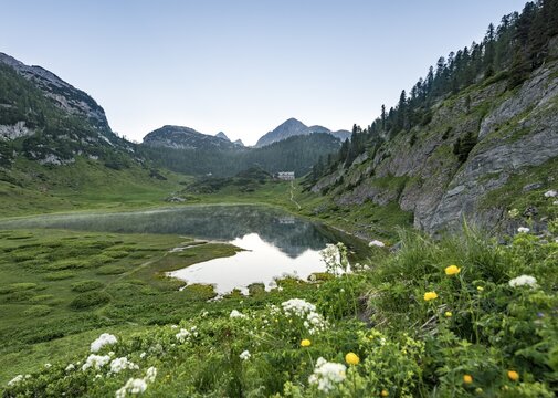 Blumenwiese, behind K&auml;rlingerhaus with lake Funtensee, Steinernes Meer, Berchtesgaden National Park, Bavaria, Germany