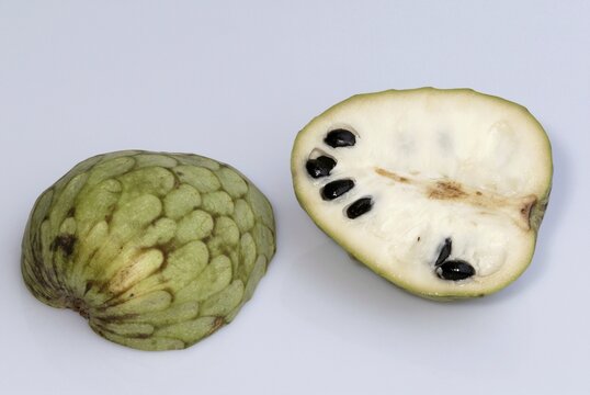Cherimoya / (Annona cherimola)