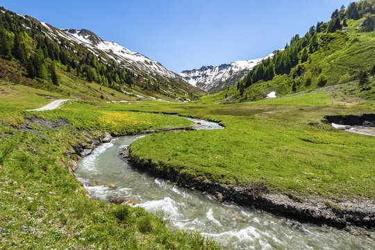 Hinterer Riedingbach flows through Alm in the Riedingtal nature Park, Niedere Tauern, Lungau, Salzburg, Austria