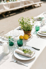 Italian wedding rustic table setting. Herbs in aged clay pot, lemons, wine glasses and linen tablecloth. Eco plant decor.