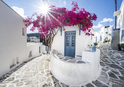 Fototapeta White Cycladic house with blue door and pink bougainvillea, with sun star, picturesque alleys of the village of Lefkes, Paros, Cyclades, Greece
