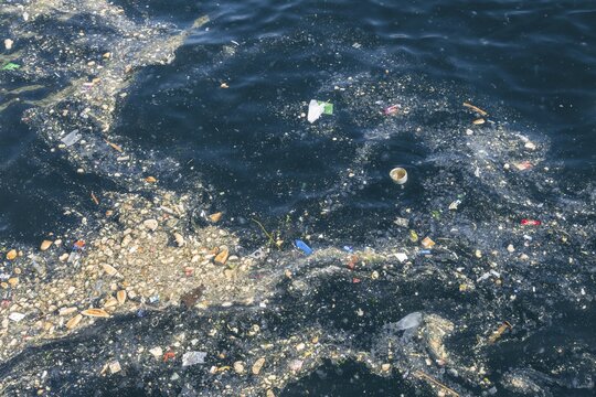 Garbage carpet floating on the water surface, Golden Horn, Istanbul, Turkey