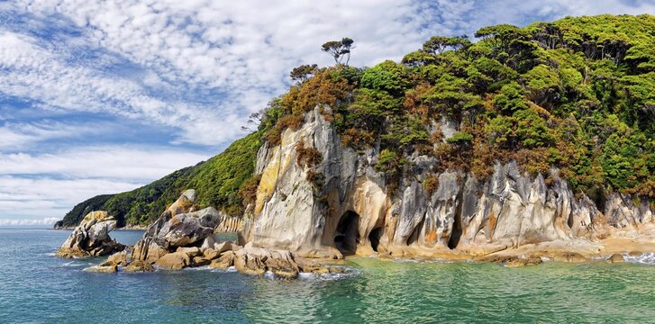 Tropical overgrown bizarre rock formation, Tonga Bay, Abel Tasman National Park, Tasman Region, Southland, New Zealand