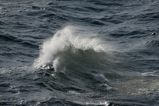 Wave with spray, on the high seas, Baltic Sea, Germany
