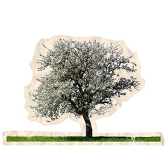 scrapbook cutout of tree with green leaves