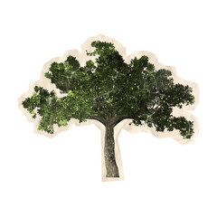 scrapbook cutout of tree isolated on white background