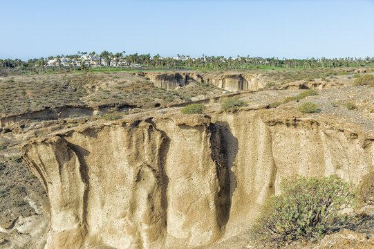 Environmental Reserve San Blas, San Miguel de Abona, Tenerife, Canary Islands, Spain