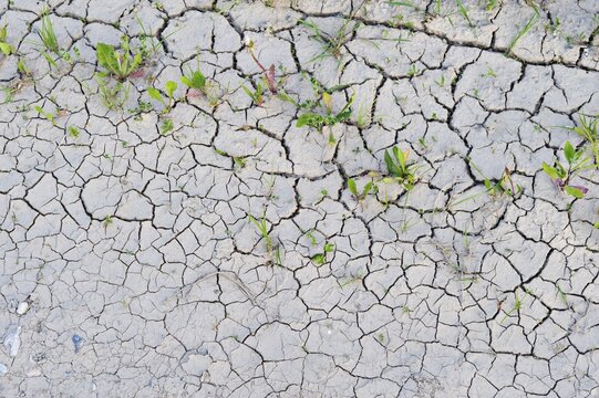 Parched earth, St.Jakob in Rosental Valley, Carinthia, Austria, Europe