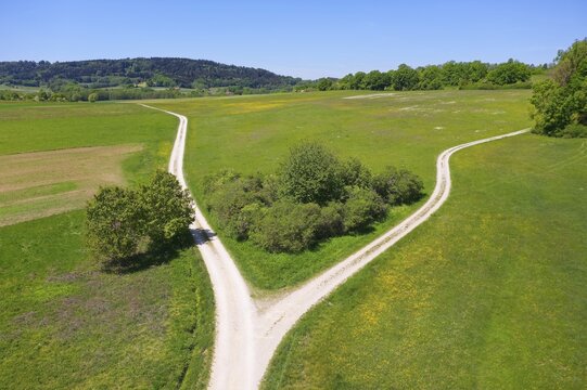 Fork in meadow with bushes, symbolic picture of a crossroads, divorce, separation, going separate ways, near Hausheim, Berg bei Neumarkt, Upper Palatinate, Franconia, Bavaria Germany