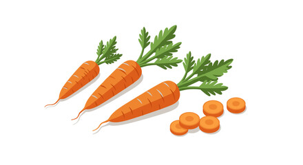Fresh carrots with green tops and slices on a white background