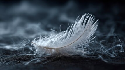 Delicate white feather detail