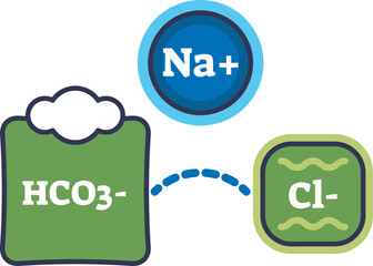 An illustration of the anion gap formula components: Sodium (Na+), Chloride (Cl-), and Bicarbonate (HCO3-). It visualizes electrolyte balance for diagnosing metabolic acidosis.