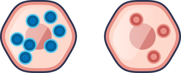 A diagram illustrating electrolyte imbalance effects on cells. It shows a swollen cell in a hypotonic state and a shrunken cell in a hypertonic state, representing osmotic pressure changes.