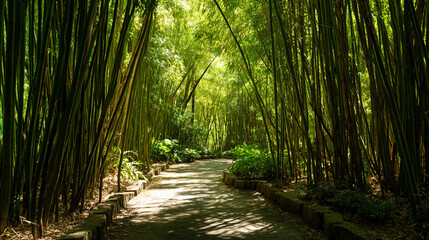 Obraz premium Bamboo forest path way background image for meditation zen garden and nature travel destinations photography