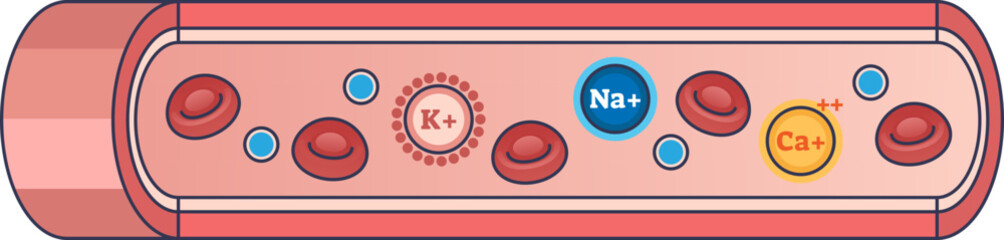 An illustration of the intravascular fluid compartment, showing a blood vessel with red blood cells and key electrolytes like sodium (Na+), potassium (K+), and calcium (Ca++) in blood plasma.