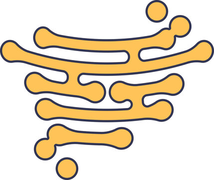 A stylized illustration of the Golgi apparatus, a key cell organelle. The image shows the stack of flattened sacs (cisternae) and budding vesicles, representing protein and lipid processing.